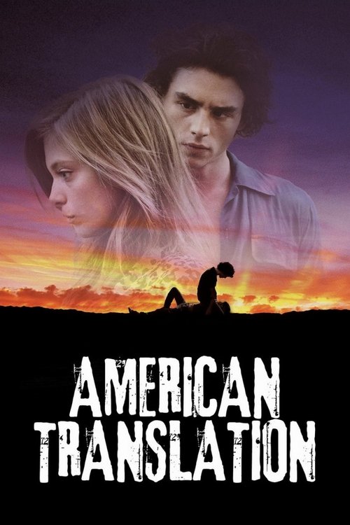 Amerikan Çevirisi (2011) poster