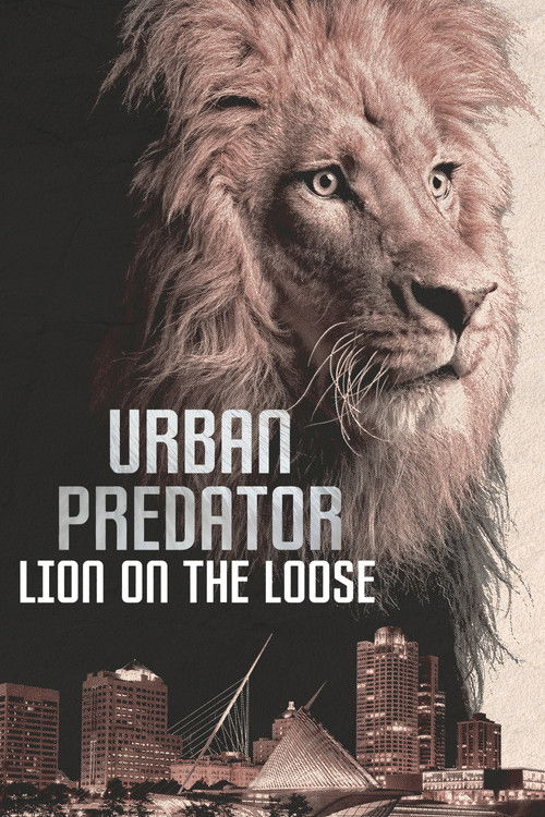 Urban Predator: Lion on the Loose (2016) poster