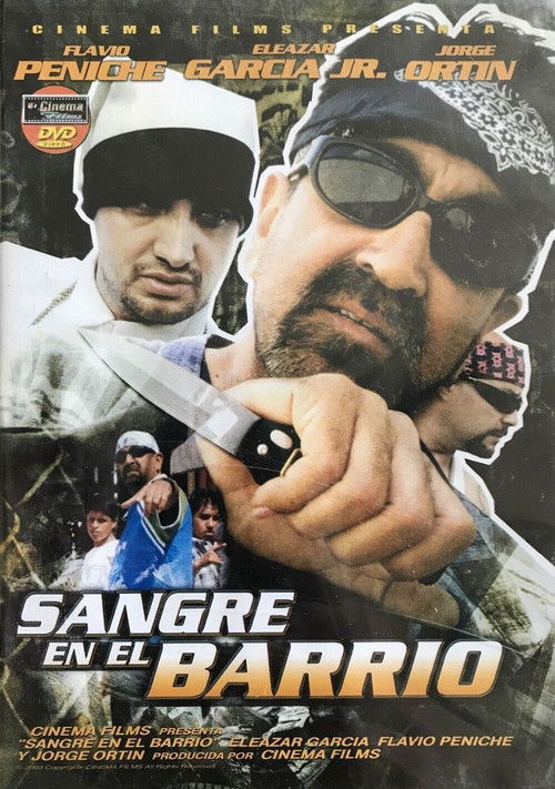 Sangre en el barrio (2002) poster