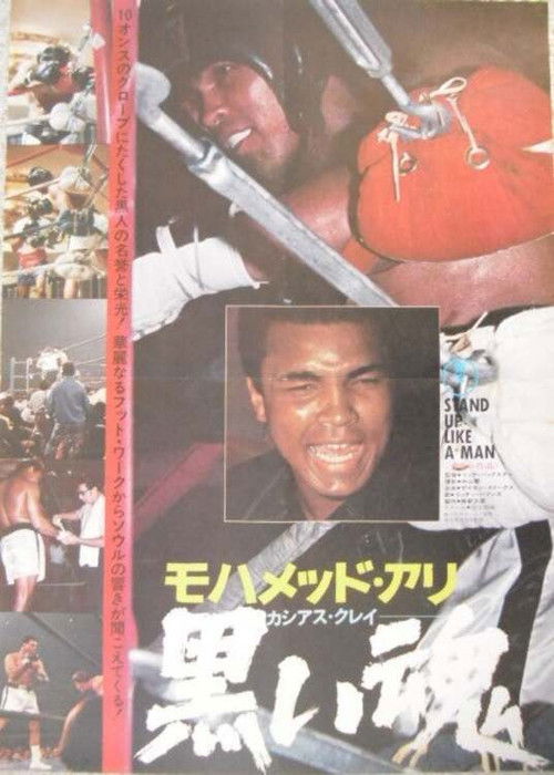 Black Soul (1974) poster