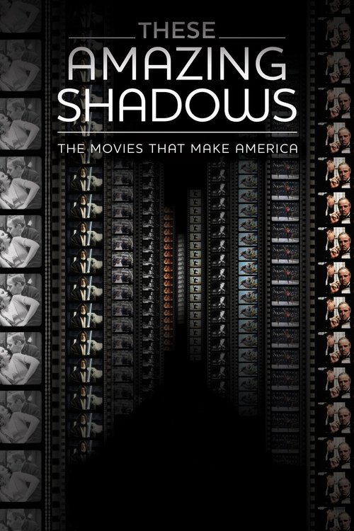 These Amazing Shadows (2011) poster