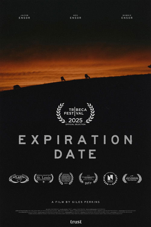 Expiration Date (2025) poster