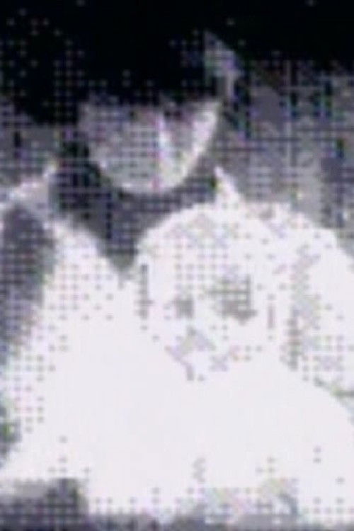 Windshield Baby Gameboy Movie (2009) poster