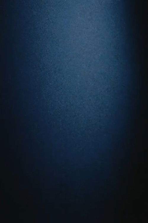 Coda I (2013) poster