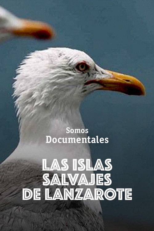 Las islas salvajes de Lanzarote (2023) poster