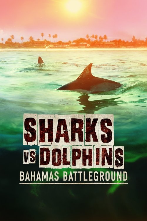 Sharks vs. Dolphins: Bahamas Battleground (2023) poster