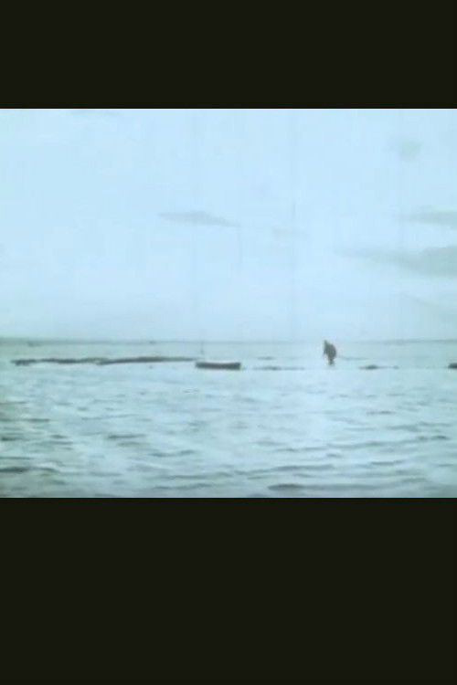 Il campo (1968) poster