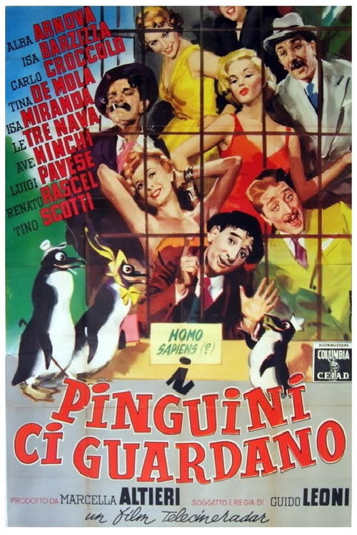 I pinguini ci guardano (1956) poster