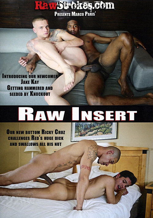 Raw Insert (2015) poster