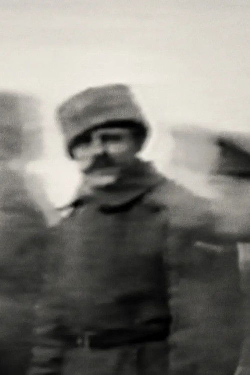 What I Will (2013) poster