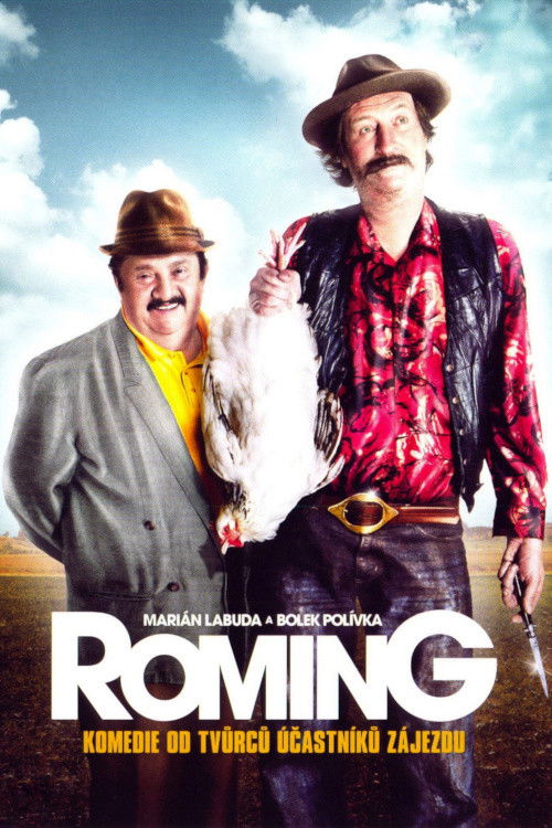ROMing (2007) poster