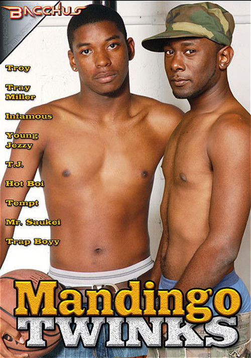 Mandingo Twinks (2011) poster