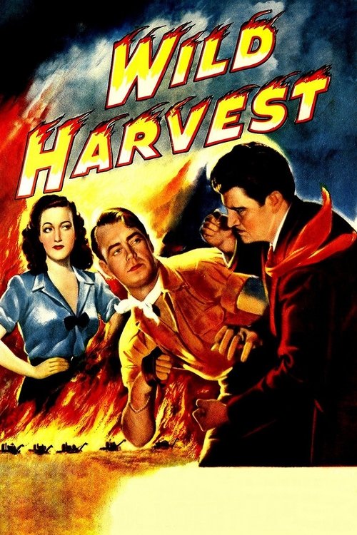 Wild Harvest (1947) poster