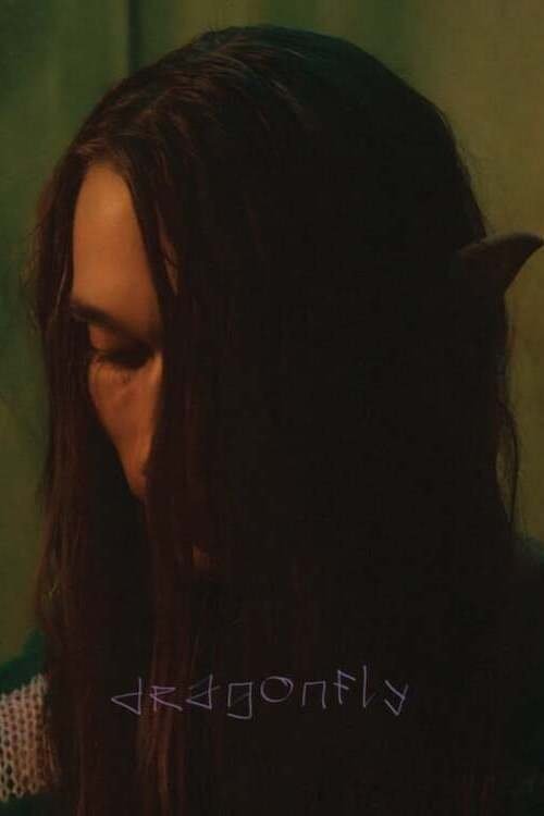 Dragonfly (2024) poster