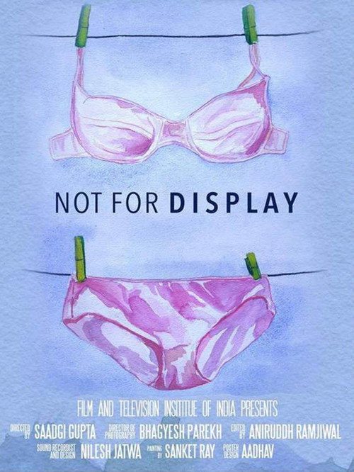 Not  for Display (2018) poster