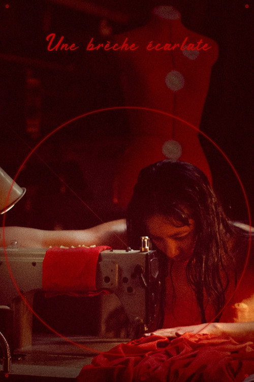 Une brèche écarlate (2025) poster