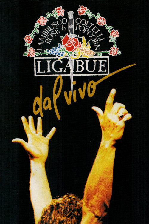 Ligabue Dal Vivo (1991) poster