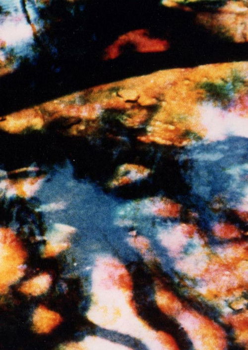 Warrah (1980) poster