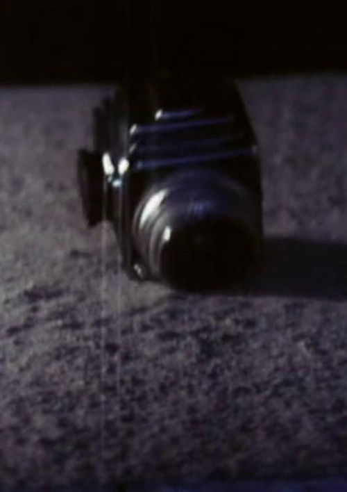 On the Logic of Dubious Historical Accounts. 1969-1972 (2008) poster