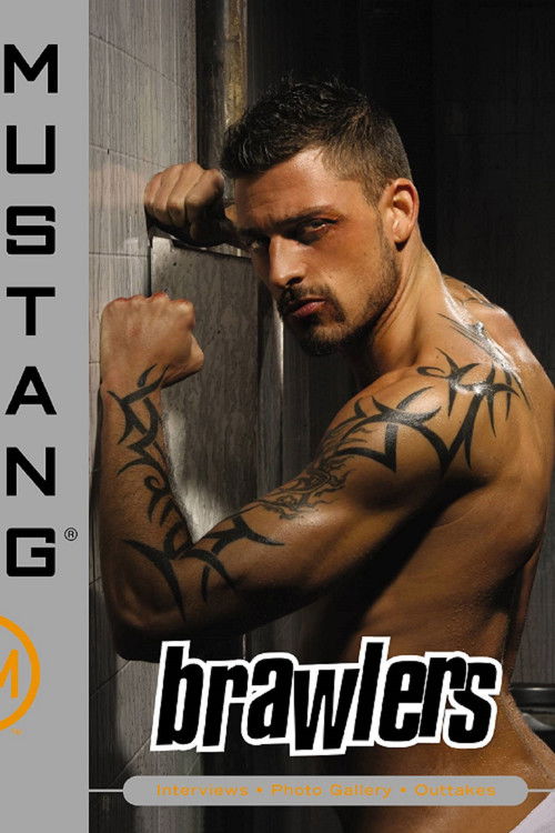 Brawlers (2006) poster