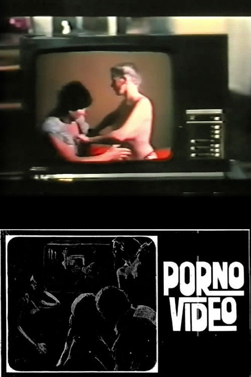 Porno Video (1981) poster