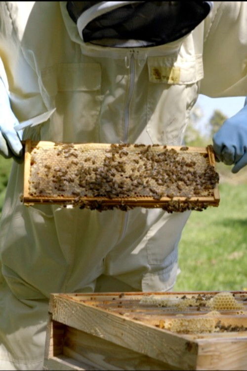 The Village (2021) poster