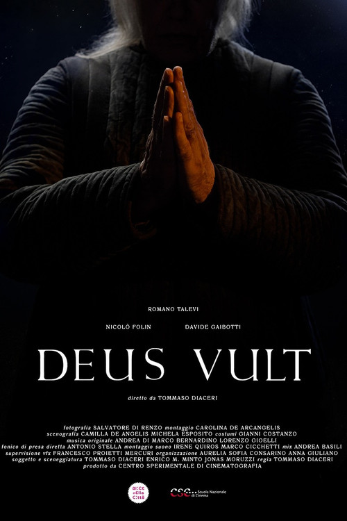 Deus Vult (2024) poster