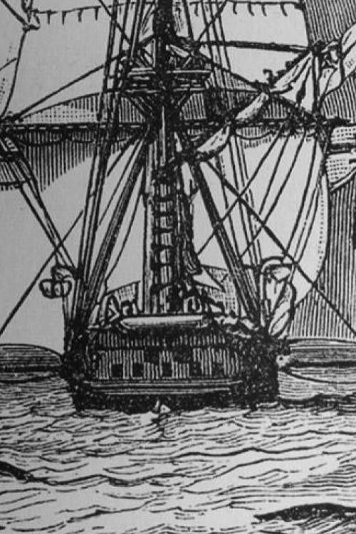 Journals and Remarks (2009) poster