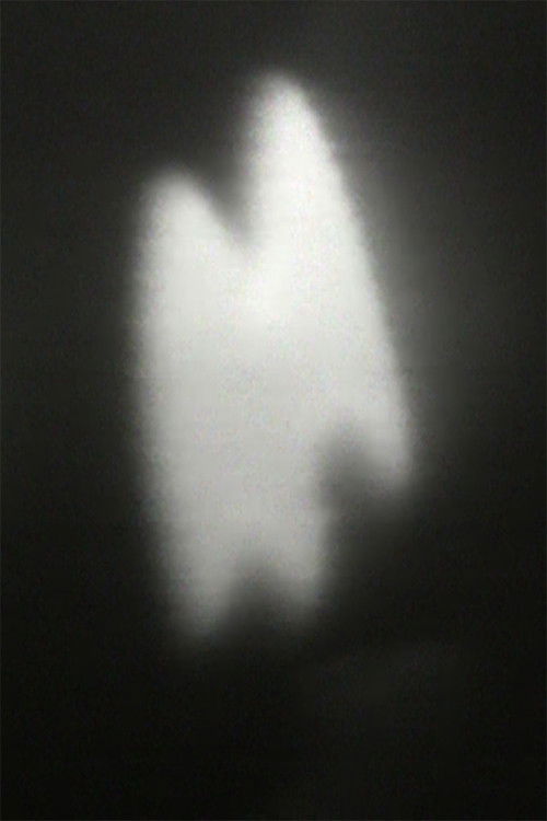 Pig Music (1971) poster