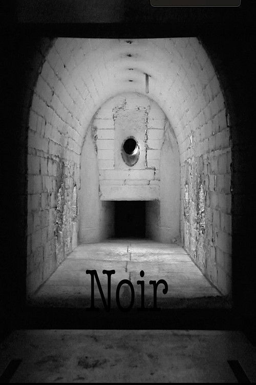 Noir (2023) poster