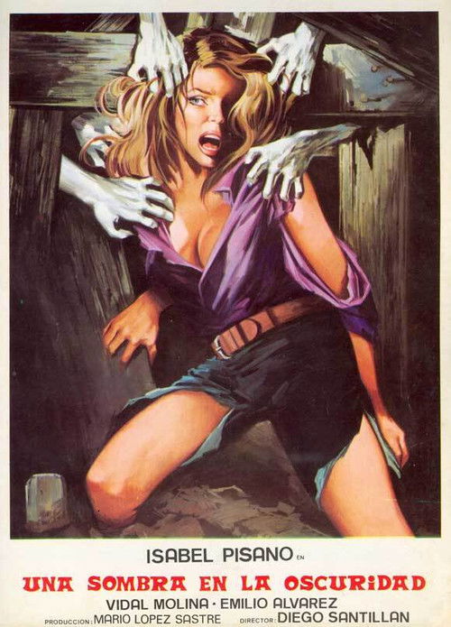 Una sombra en la oscuridad (1979) poster