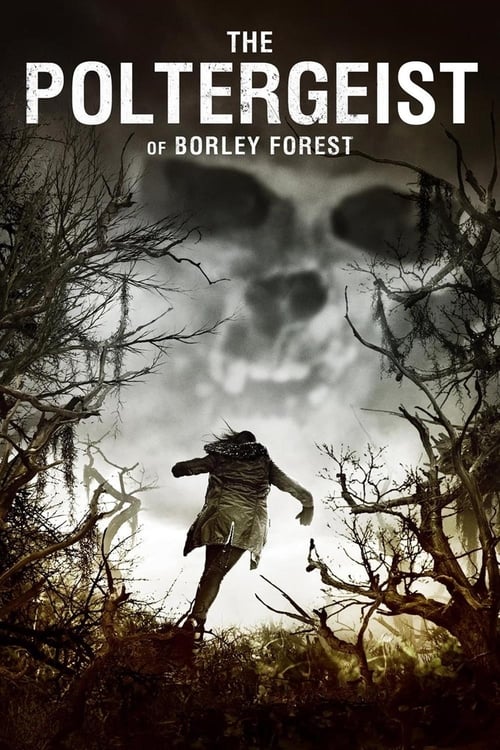 The Poltergeist of Borley Forest (2013) poster