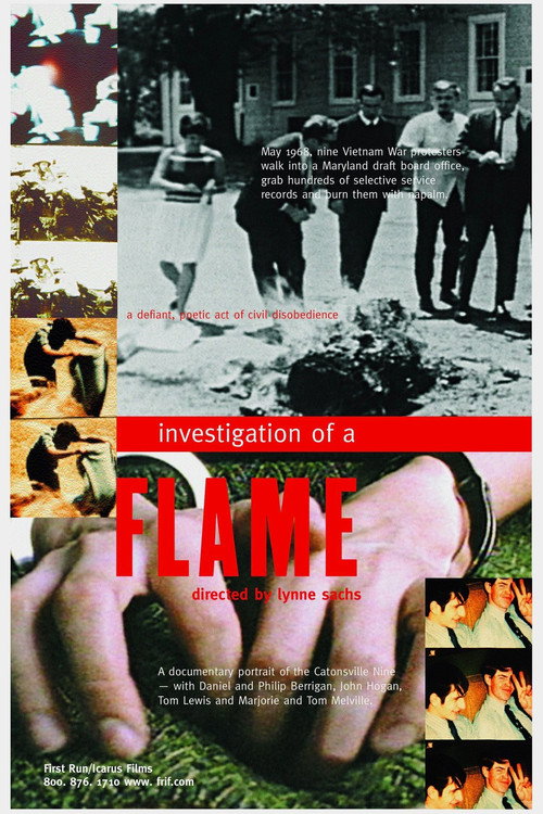 Investigation of a Flame (2002) poster