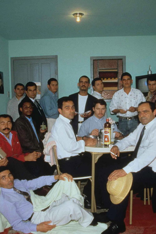 Os Raimundos, os Severinos e os Franciscos (1998) poster