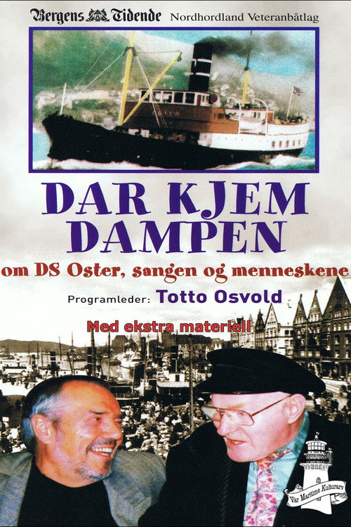 Dar kjem dampen (2000) poster