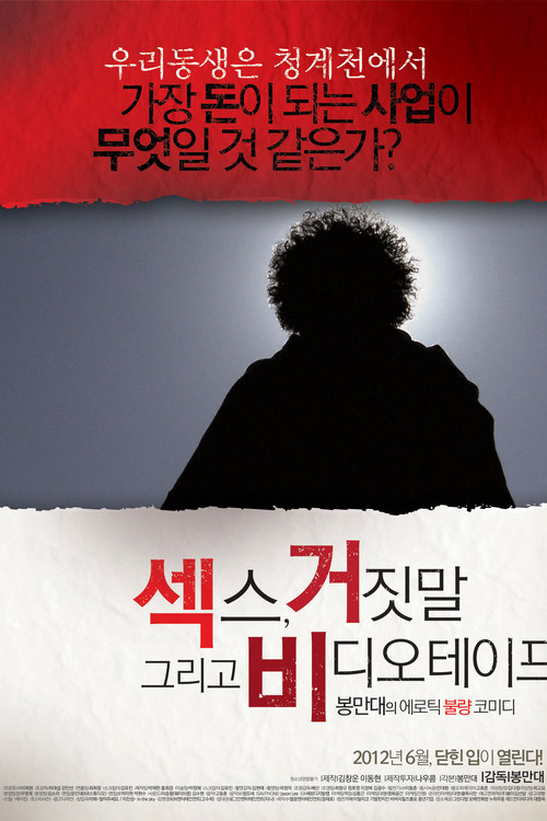 섹스 거짓말 그리고 비디오 테이프 (2012) poster