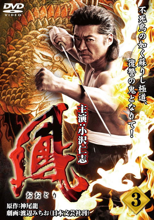 鳳（おおとり）3 (2009) poster