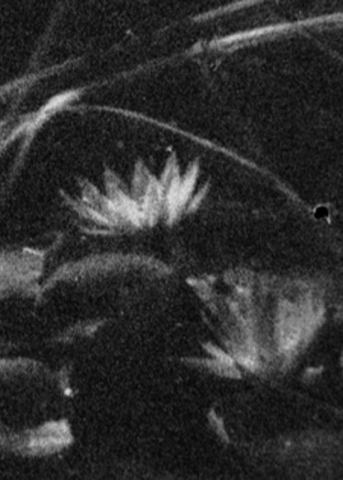 Neon Spores (2022) poster