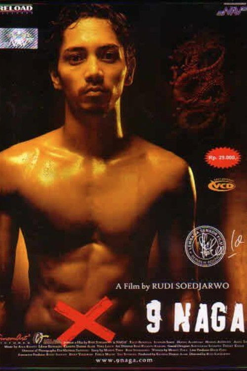 The Nine Dragon (2006) poster