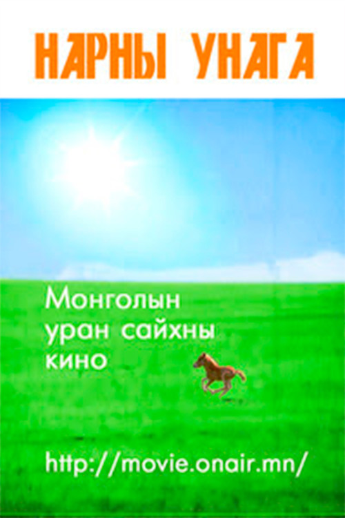 The Sun Foal (1984) poster