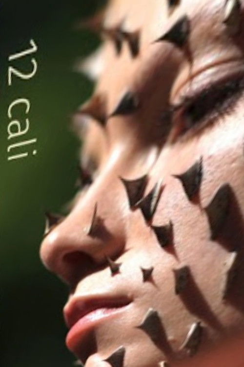 12 cali (2018) poster