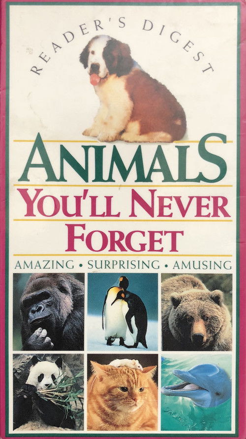 Animals You'll Never Forget (1994) poster