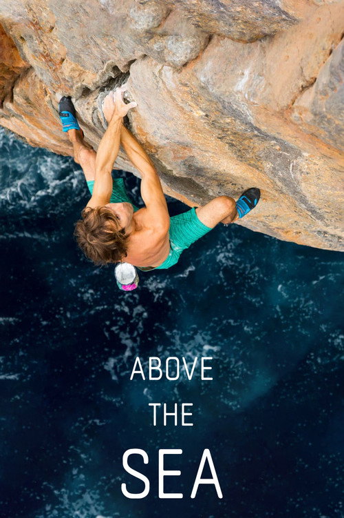 Above The Sea (2017) poster