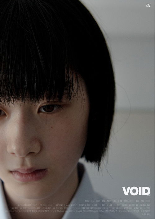 Void (2024) poster