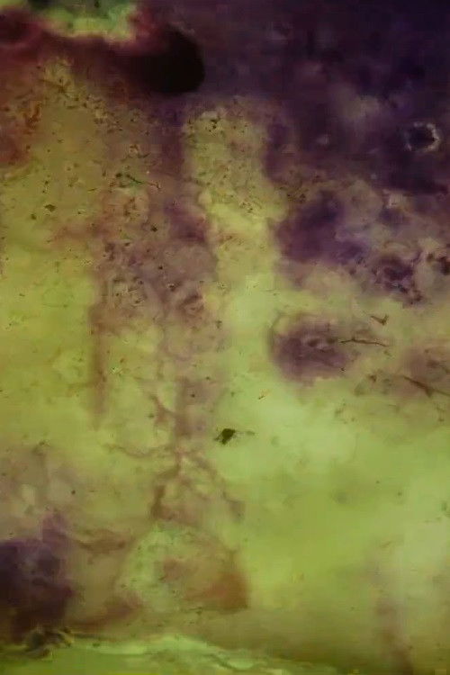 359 Slides (2016) poster