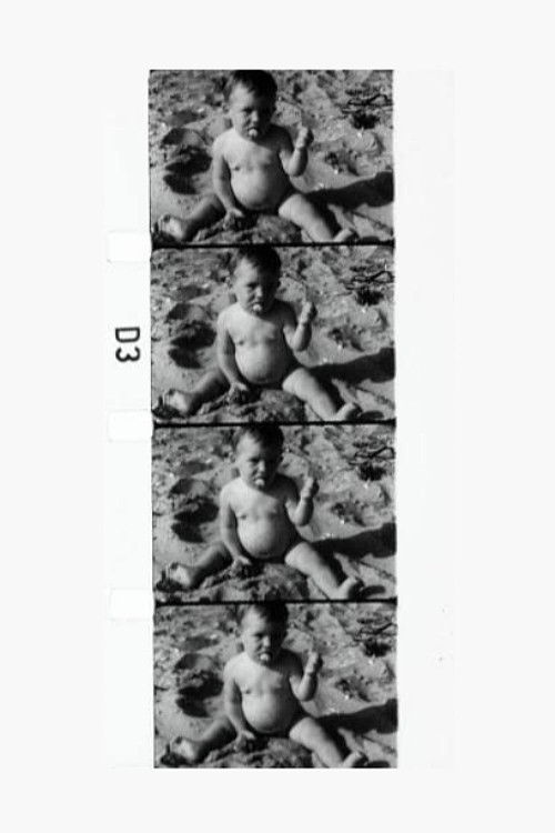 Fluxfilm No. 21 (1966) poster