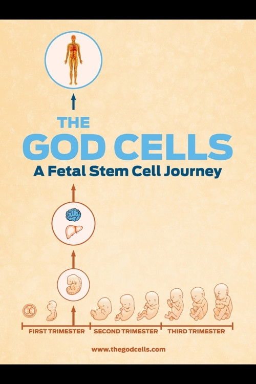 The God Cells (2016) poster