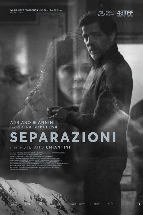 Separazioni (2026) poster