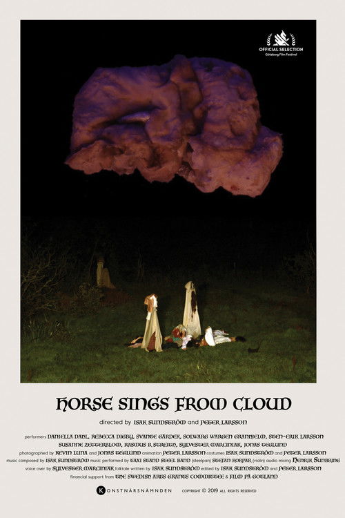 Horse Sings from Cloud (2019) poster