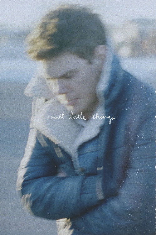 Small Little Things (2014) poster